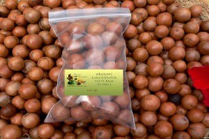 Macadamia Nuts from South Africa